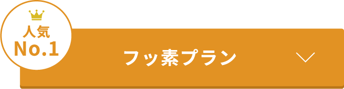 プレミアムプラン